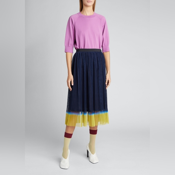 Dries Van Noten Dresses & Skirts - DRIES VAN NOTEN Midi Skirt,Tulle Dip-Die Pleated Midi skirt in Navy Sz 6